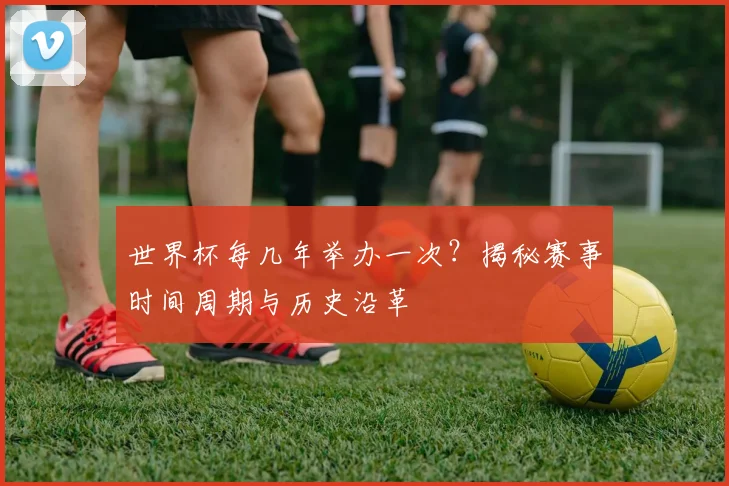 世界杯每几年举办一次？揭秘赛事时间周期与历史沿革