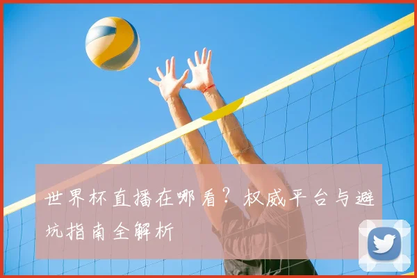世界杯直播在哪看?权威平台与避坑指南全解析